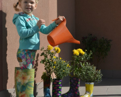 12003032_813498712100646_1741961291014747867_n